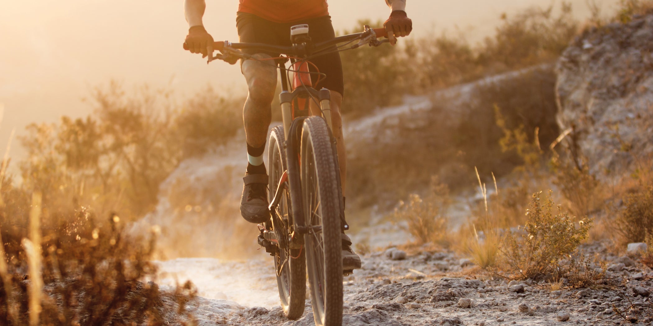 Mountain Bike, tre percorsi che non potete perdervi