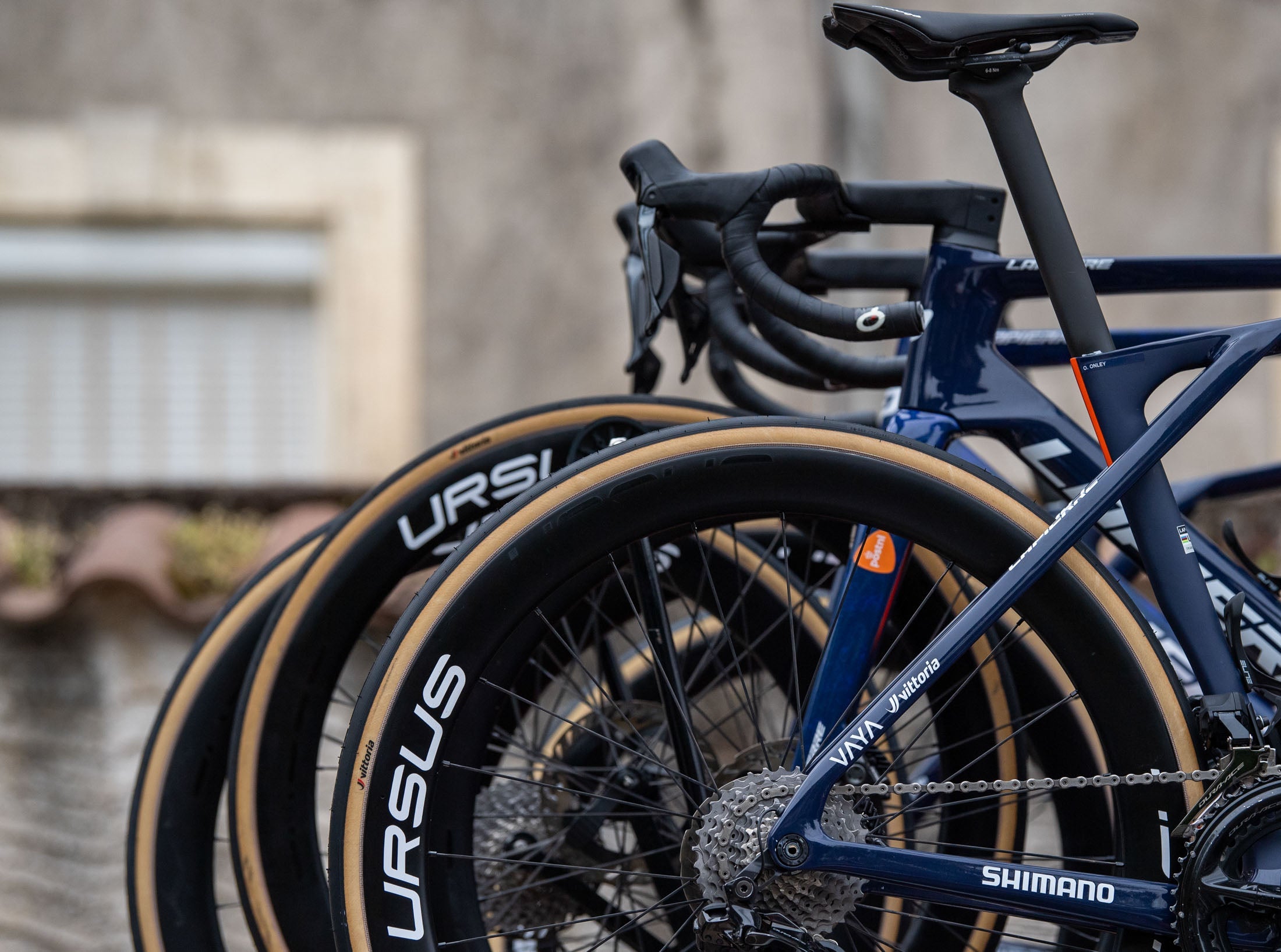 Ursus e Team Picnic PostNL: a ruota libera nel World Tour