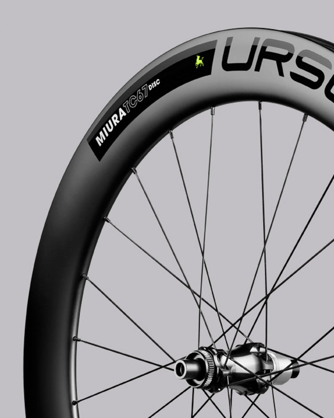 Ursus