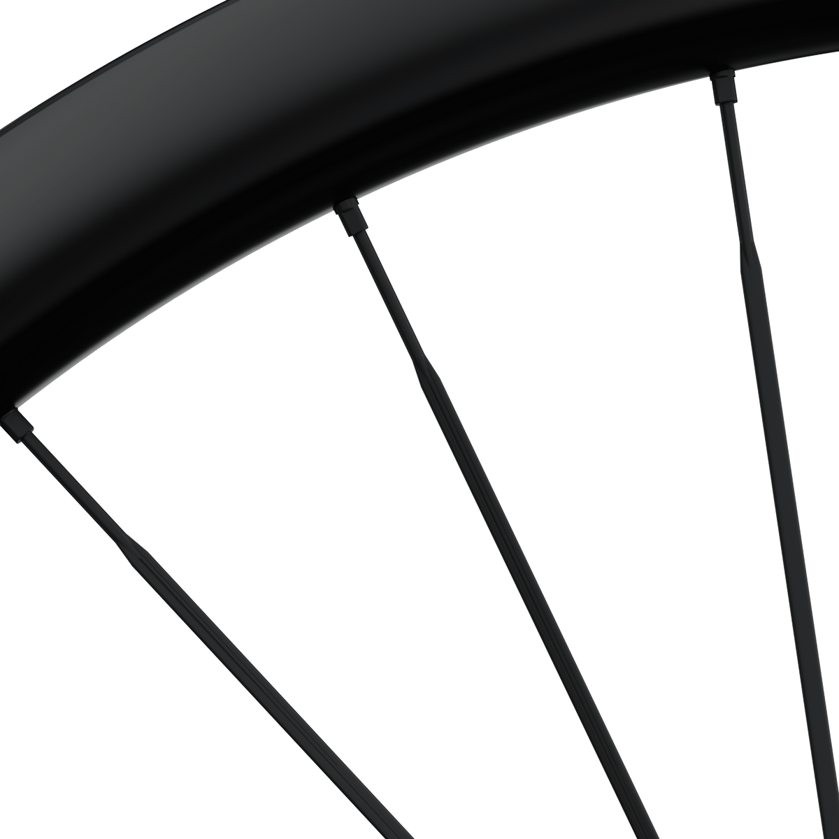 Eva R 35 Arya R 35 – Ursus
